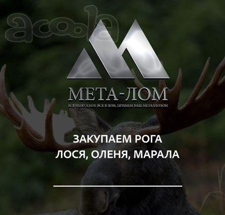 Приём вывоз демонтаж металлолома в Вологде